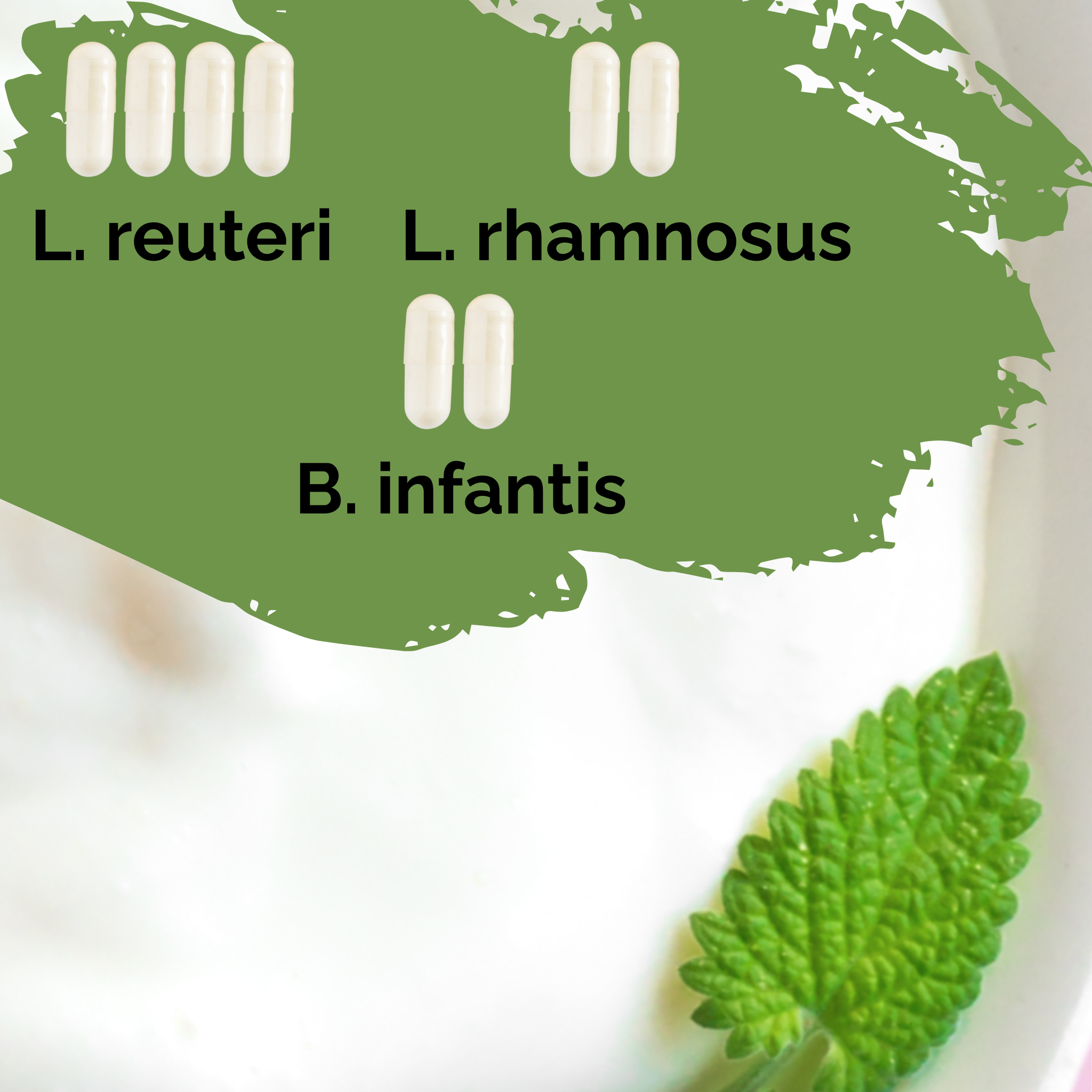 L. reuteri + L. rhamnosus + B. infantis | ヨーグルトスターターセット | ハッピーガット | スターターカルチャー | 3パック
