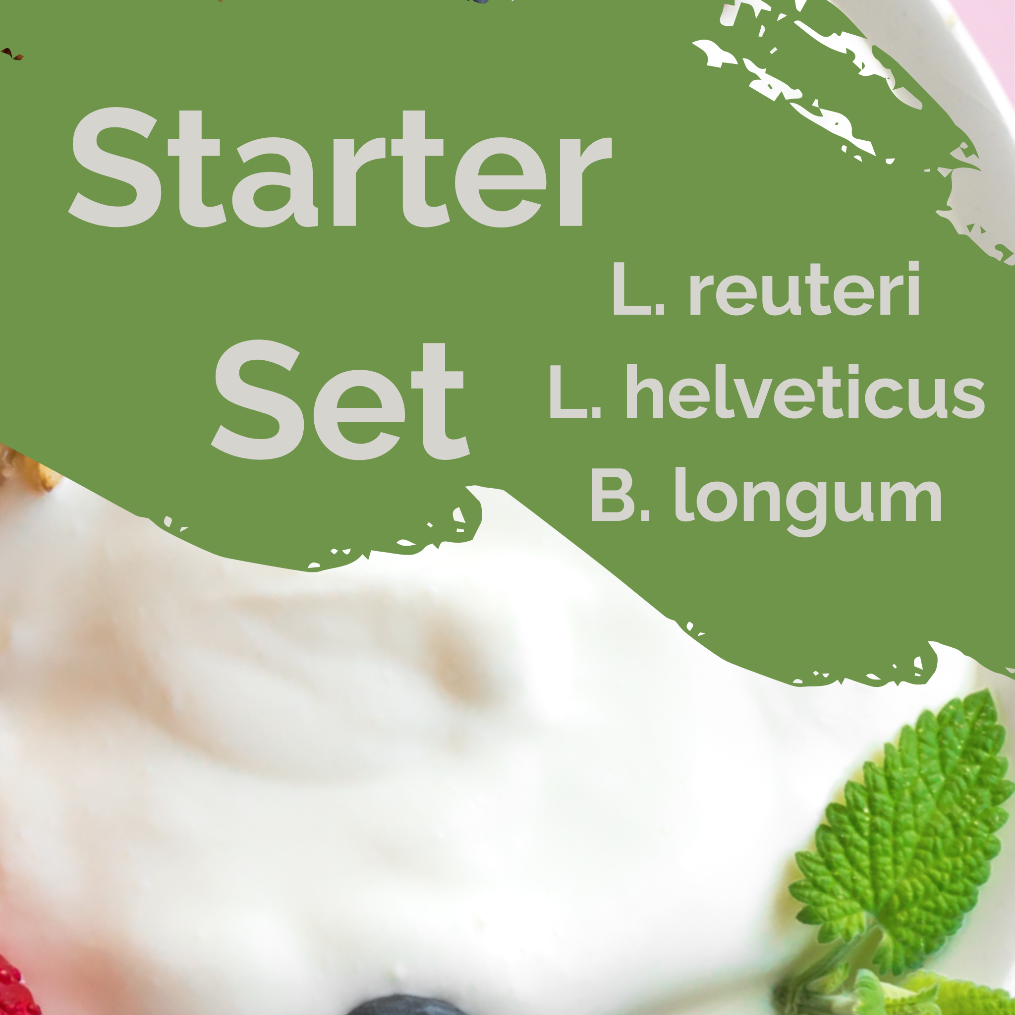 L. reuteri + L. helveticus + B. longum | ヨーグルトスターターセット | 腸の調和 | スターターカルチャー | 3パック入り